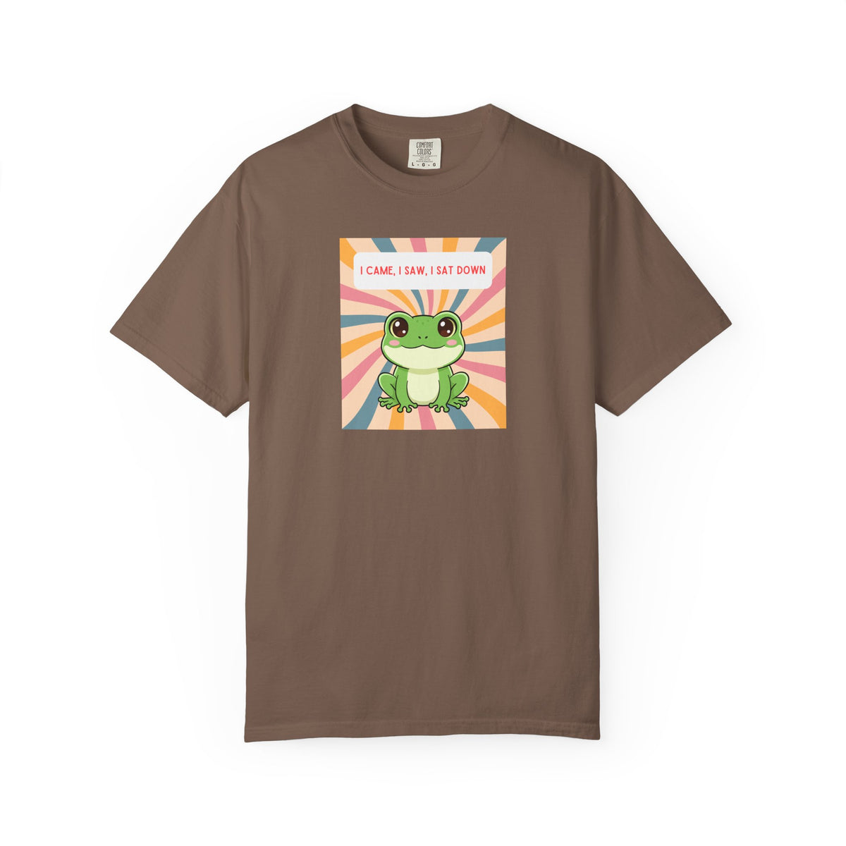 I Came, I Saw, I Sat Down Pond Frog T-Shirt | Retro Rainbow Illustration