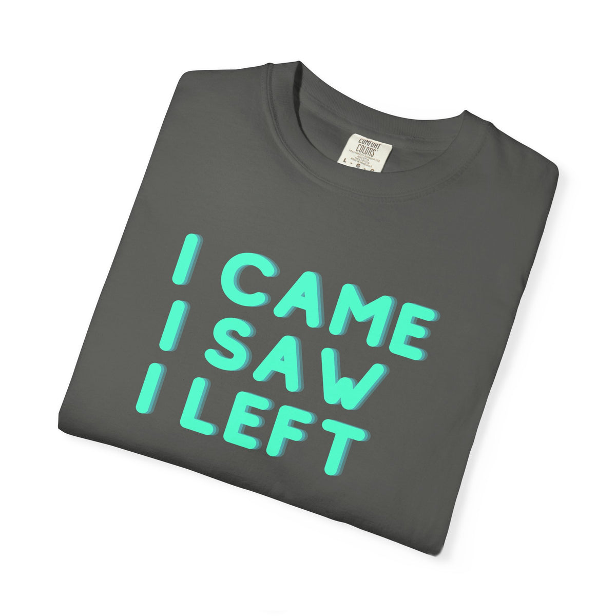 I Came I Saw I Left T-Shirt | Funny Introvert Gift Tee for Antisocial People