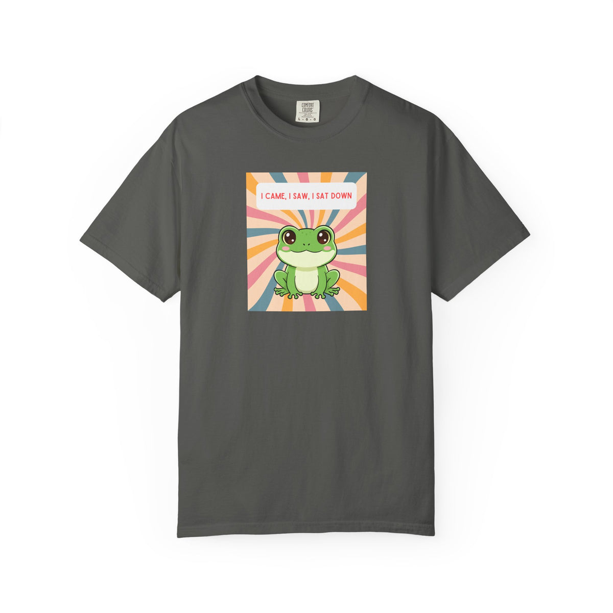 I Came, I Saw, I Sat Down Pond Frog T-Shirt | Retro Rainbow Illustration
