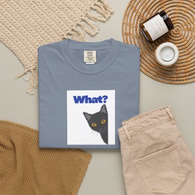 Peekaboo Black Cat "What?" T-shirt | Cat Lover Tee