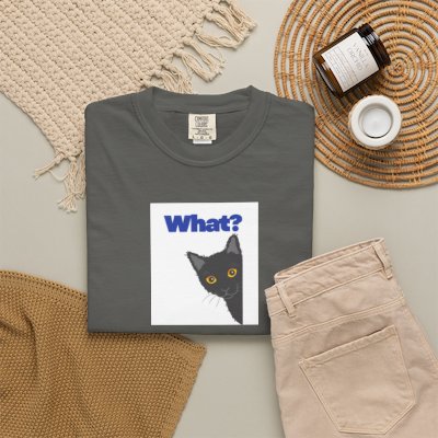Peekaboo Black Cat "What?" T-shirt | Cat Lover Tee